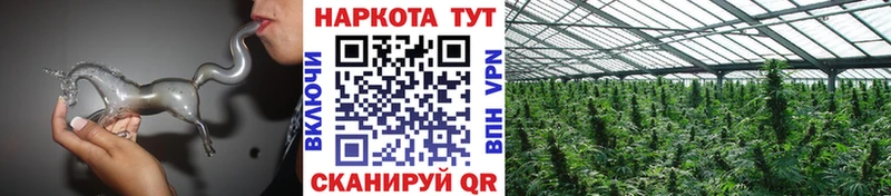 Где можно купить наркотики Киреевск Канабис  ГЕРОИН  Меф  Альфа ПВП 