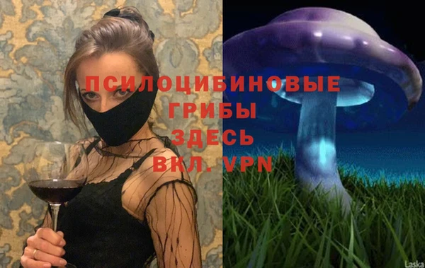 амф Магас