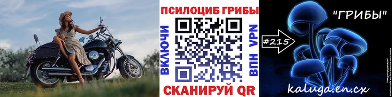 Псилоцибиновые грибы прущие грибы  наркотики  Киреевск 