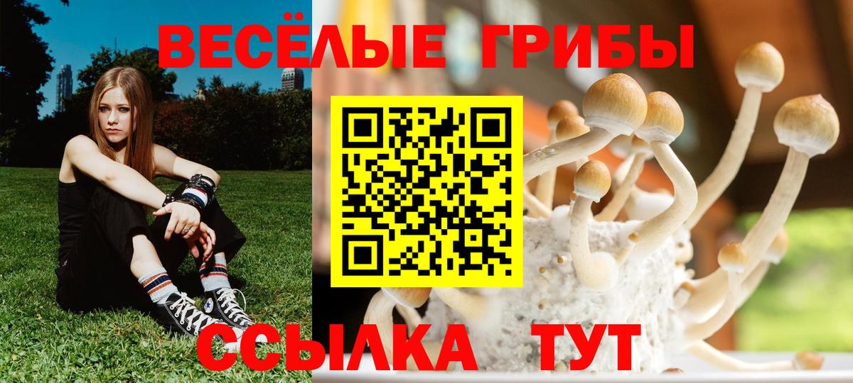 Киреевск  Галлюциногенные грибы мухоморы  Вход с VPN  Псилоцибиновые грибы Magic Shrooms 